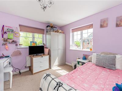 Picture 13